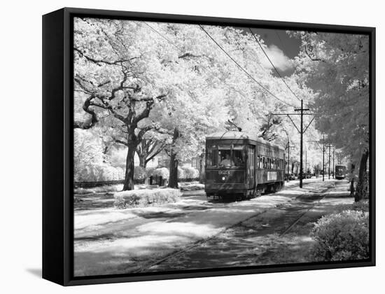 Streetcar, St. Charles Avenue, New Orleans-Carol Highsmith-Framed Stretched Canvas