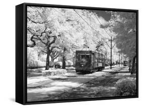 Streetcar, St. Charles Avenue, New Orleans-Carol Highsmith-Framed Stretched Canvas