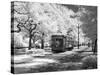 Streetcar, St. Charles Avenue, New Orleans-Carol Highsmith-Stretched Canvas