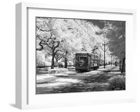 Streetcar, St. Charles Avenue, New Orleans-Carol Highsmith-Framed Photo