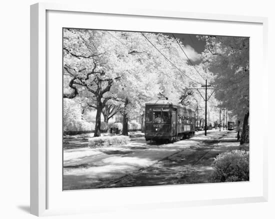 Streetcar, St. Charles Avenue, New Orleans-Carol Highsmith-Framed Photo