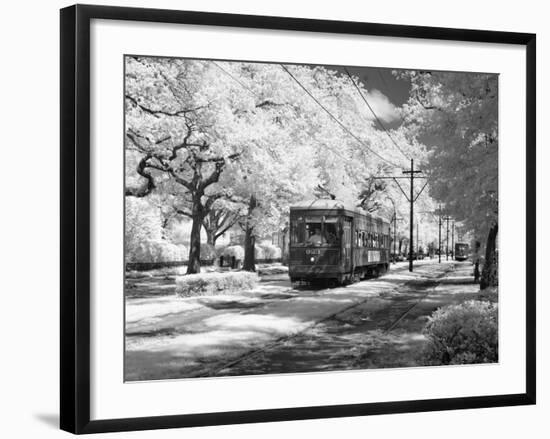 Streetcar, St. Charles Avenue, New Orleans-Carol Highsmith-Framed Photo