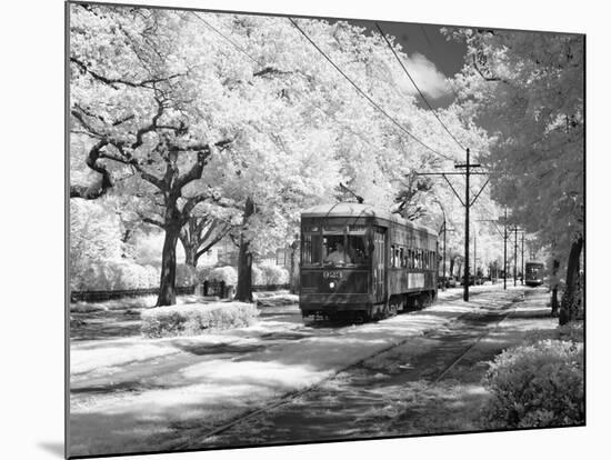 Streetcar, St. Charles Avenue, New Orleans-Carol Highsmith-Mounted Photo