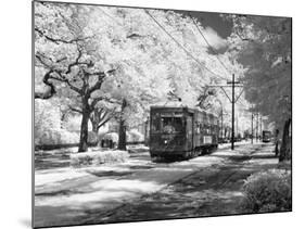 Streetcar, St. Charles Avenue, New Orleans-Carol Highsmith-Mounted Photo