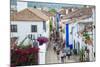 Streets, Obidos, Estremadura, Portugal, Europe-G and M Therin-Weise-Mounted Photographic Print