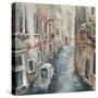 Streets of Venice-Farrell Douglass-Stretched Canvas