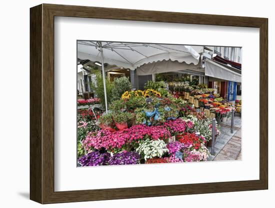 Streetscene of flower shop along the roads of Rue Cler, Paris, France-Darrell Gulin-Framed Photographic Print