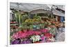 Streetscene of flower shop along the roads of Rue Cler, Paris, France-Darrell Gulin-Framed Photographic Print