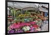 Streetscene of flower shop along the roads of Rue Cler, Paris, France-Darrell Gulin-Framed Photographic Print