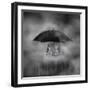 Strength in Stillness-Barbara Simmons-Framed Photographic Print