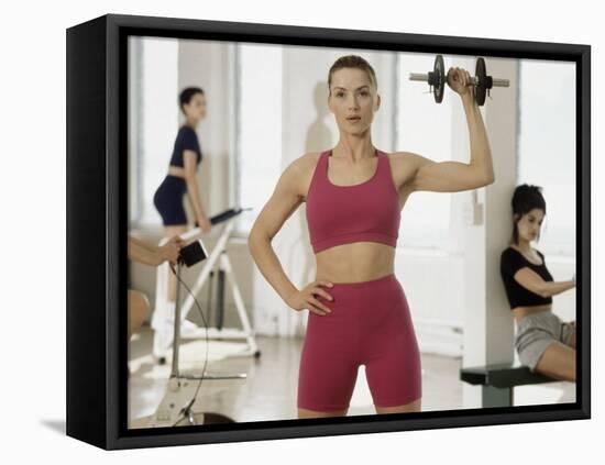 Strength Training in the Gym-null-Framed Stretched Canvas