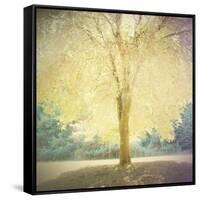 Strength-Amy Melious-Framed Stretched Canvas