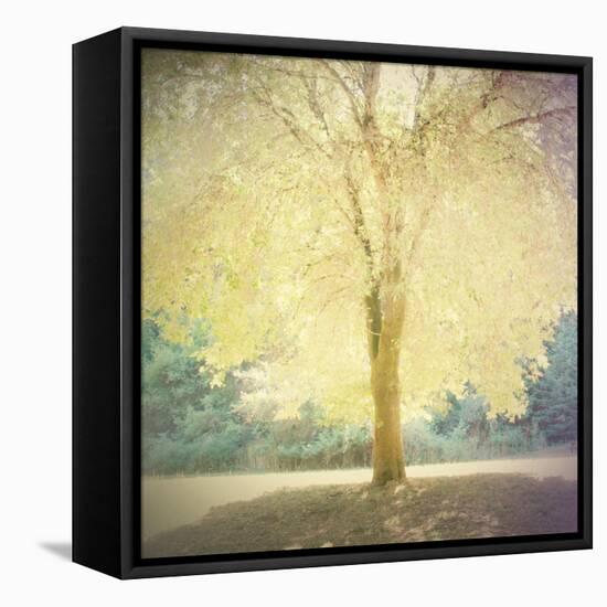 Strength-Amy Melious-Framed Stretched Canvas