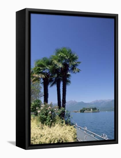 Stresa, with Isola Bella in Background, Lake Maggiore, Piemonte (Piedmont), Italy, Europe-Sergio Pitamitz-Framed Stretched Canvas