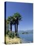 Stresa, with Isola Bella in Background, Lake Maggiore, Piemonte (Piedmont), Italy, Europe-Sergio Pitamitz-Stretched Canvas