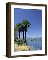 Stresa, with Isola Bella in Background, Lake Maggiore, Piemonte (Piedmont), Italy, Europe-Sergio Pitamitz-Framed Photographic Print