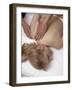 Stress Relieving Massage-null-Framed Photographic Print