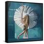 Stretch Out-Peter Hawkins-Framed Stretched Canvas