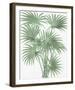 Stretching Leaves-The Vintage Collection-Framed Giclee Print