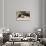 Striated Caracara Eating Carrion-Joe McDonald-Photographic Print displayed on a wall