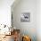 Striated Caracara (Phalcoboenus Australis) in Flight, Sea Lion Island, Falkland Islands-Eleanor Scriven-Stretched Canvas displayed on a wall