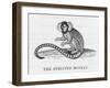 Striated Monkey-null-Framed Art Print