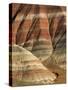 Striated Rock Formations-Joe McDonald-Stretched Canvas