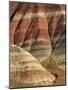 Striated Rock Formations-Joe McDonald-Mounted Photographic Print