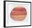 Striated Shell-Jill O'Connell-Framed Limited Edition