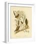 Striated Wren, 1891-Gracius Broinowski-Framed Giclee Print