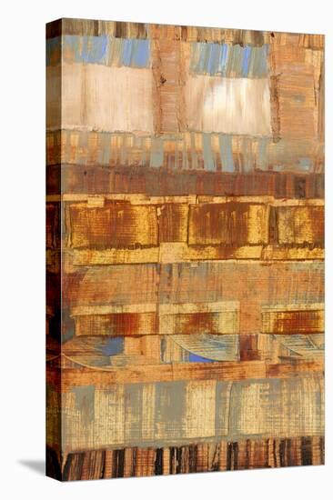 Striation I-Sharon Gordon-Stretched Canvas