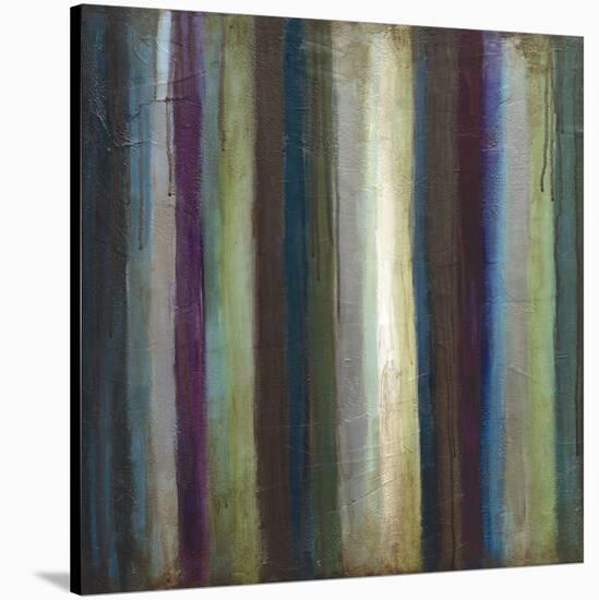 Striations I-Wani Pasion-Stretched Canvas