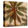 Strickly Palms 02-Rick Novak-Stretched Canvas