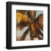 Strickly Palms 03-Rick Novak-Framed Art Print