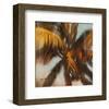 Strickly Palms 03-Rick Novak-Framed Art Print