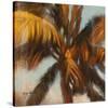 Strickly Palms 03-Rick Novak-Stretched Canvas