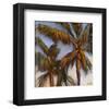 Stricktly Palms 04-Rick Novak-Framed Art Print