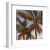 Stricktly Palms 04-Rick Novak-Framed Art Print