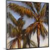 Stricktly Palms 04-Rick Novak-Mounted Art Print