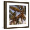 Stricktly Palms 04-Rick Novak-Framed Art Print