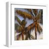 Stricktly Palms 04-Rick Novak-Framed Art Print