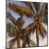 Stricktly Palms 04-Rick Novak-Mounted Art Print