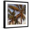 Stricktly Palms 04-Rick Novak-Framed Art Print