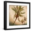 Strictly Palms 06-Rick Novak-Framed Art Print