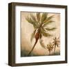 Strictly Palms 06-Rick Novak-Framed Art Print