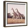 Stride For Stride-David Knowlton-Framed Giclee Print