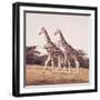 Stride For Stride-David Knowlton-Framed Giclee Print