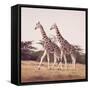 Stride For Stride-David Knowlton-Framed Stretched Canvas