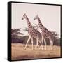 Stride For Stride-David Knowlton-Framed Stretched Canvas