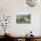 Striding Edge, Helvellyn, Lake District National Park, Cumbria, England, United Kingdom-Lee Frost-Photographic Print displayed on a wall